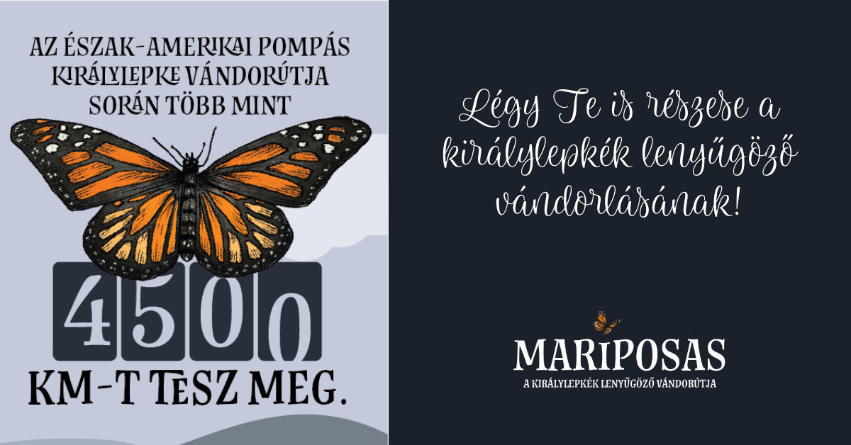 Mariposas